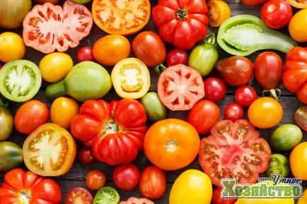 Cum de a vinde tomate