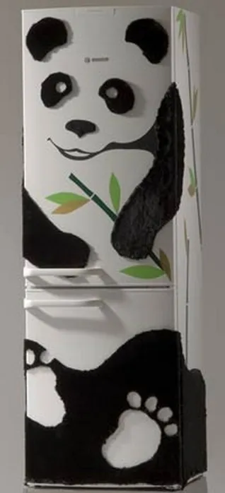 Cum să elaboreze un frigider
