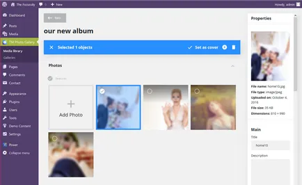 Cum de a lucra cu plugin-uri