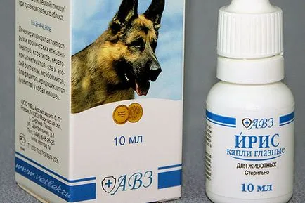 tratament pentru ochi canin tratament pentru ochi canin
