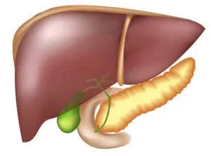 Ce este steatoza hepatică de tratament