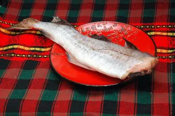 Cum se curata Pollock