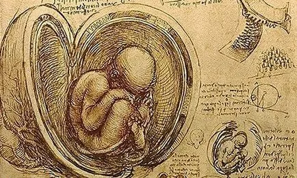 15 descoperiri și invenții, care sunt implicate în apariția marelui Leonardo da Vinci