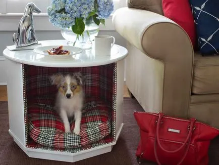 17 idei interesante, o transformare a lucrurilor inutile în mobilierul original și decor