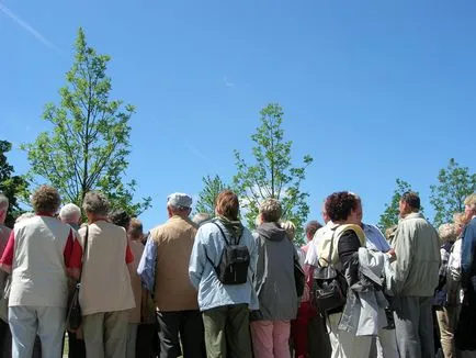 15 abilitate util, care pot fi învățate într-o singură zi (poți) 15 abilitate util, care pot fi învățate într-o zi