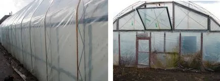 6 moduri de a stabili modul în care banda pe efect de seră