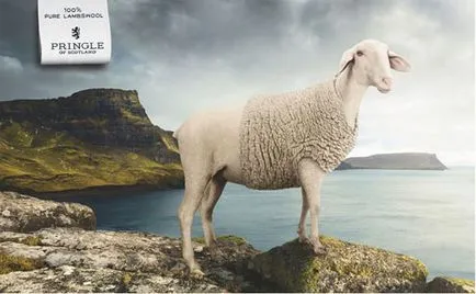 50 cele mai multe afișe publicitare creative