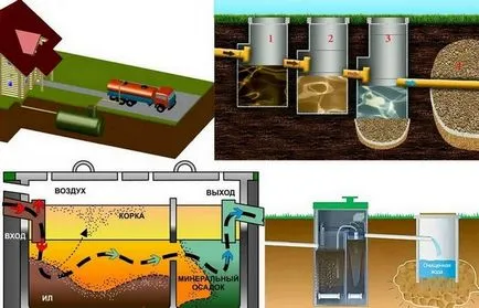 bacterii aerobe și microorganisme pentru septic
