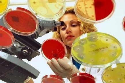 bacterii aerobe și microorganisme pentru septic