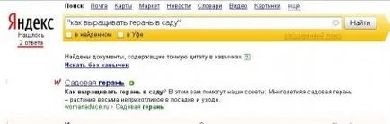 Cum de a căuta în mod corespunzător pe internet prin intermediul motoarelor de căutare (motoarele de căutare)