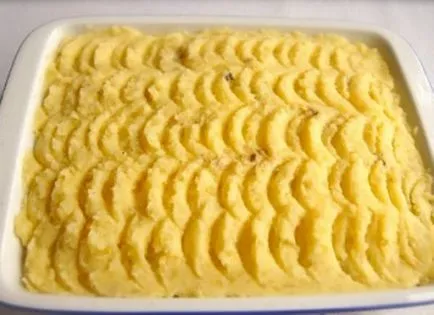 caserola de cartofi cu carne de pui și ciuperci rețete cu fotografii