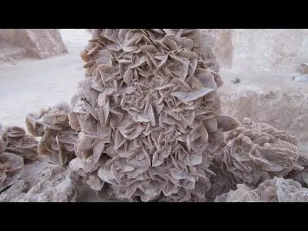 Piatra deșert trandafir proprietăți (Tunisia) de minerale si arata ca (piatra) Piatra deșert trandafir proprietăți (Tunisia) de minerale si arata ca