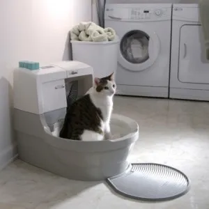 WC automat pentru pisici, comentarii, evaluări și preț (pisică genie) WC automat pentru pisici, comentarii, evaluări și preț