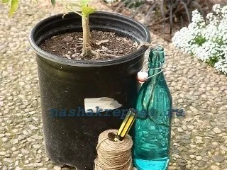 houseplants udare automat modalități de implementare