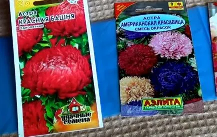 Steliforme - tot mai mare de semințe, atunci când pentru a planta