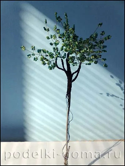 Birch șirag de mărgele