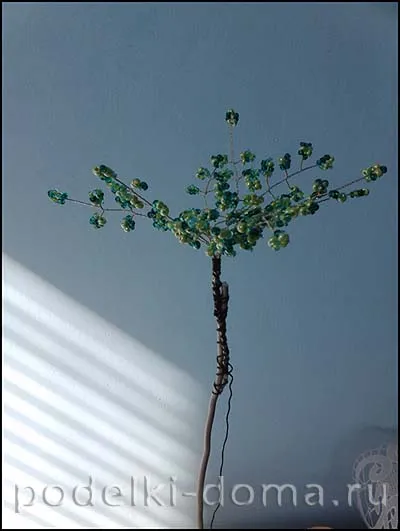 Birch șirag de mărgele