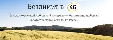Nelimitat descriere Beeline 4g și conectare