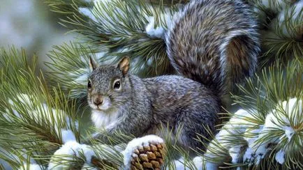 Squirrel - inteligent Zateinitsa