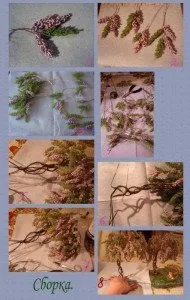 Conservatie master-class cu wisteria pas cu pas fotografii și videoclipuri