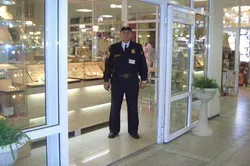 companie de securitate Planul de afaceri în România (companie de securitate privată) companie de securitate plan de afaceri în România