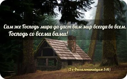 Vă mulțumesc (citit de autor) ~ versete (sufletul lumii) ~