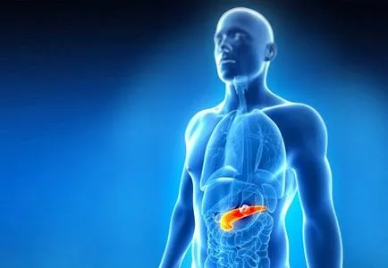Pancreatica terapia simptomelor bolii (pancreatic) Pancreatică bolii Simptomele Tratamentul