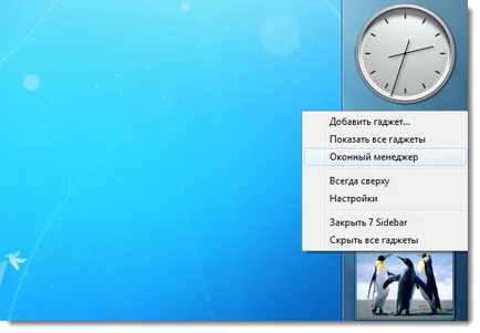 Panou lateral pentru Windows 7