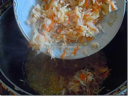 Bigus (bigos) cu carne de pui fotografie, delicios se găti