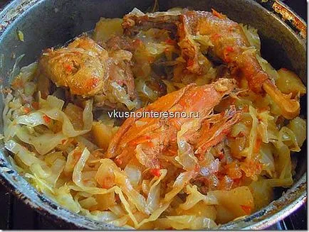 Bigus (bigos) cu carne de pui fotografie, delicios se găti