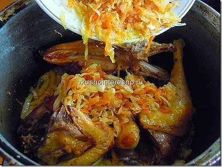 Bigus (bigos) cu carne de pui fotografie, delicios se găti