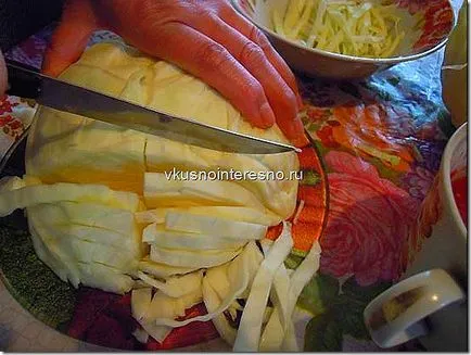 Bigus (bigos) cu carne de pui fotografie, delicios se găti