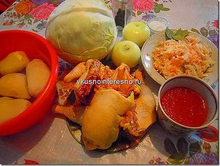 Bigus (bigos) cu carne de pui fotografie, delicios se găti