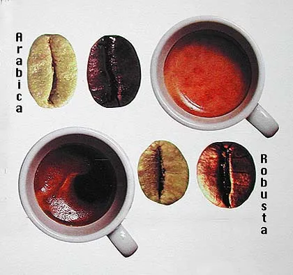 Arabica este diferit de Robusta®