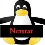 Ceea ce este diferit de protocolul UDP TCP, stabilind ferestre și servere Linux
