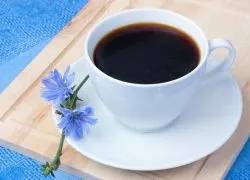 cicoare solubilă Cât de util