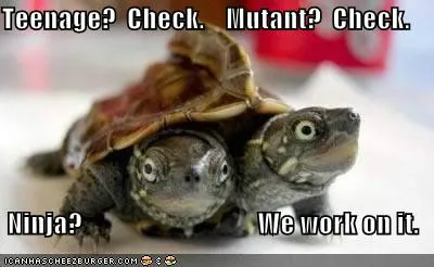 Testoasele Ninja, Netlore Ninja Turtles, personaje religioase, desene animate