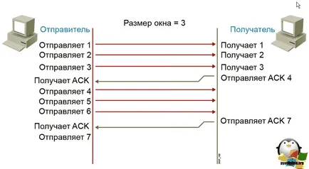 Ceea ce este diferit de protocolul UDP TCP, stabilind ferestre și servere Linux