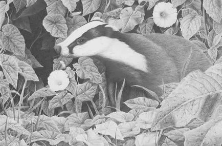 Prin lentila unui desene alb-negru animale (desene) Prin lentilele unei desene alb-negru de animale
