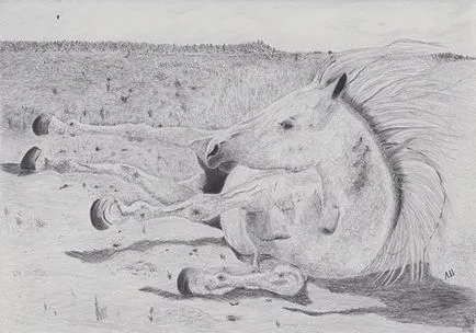 Prin lentila unui desene alb-negru animale (alb-negru) Prin lentilele unei desene alb-negru de animale