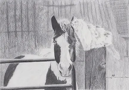 Prin lentila unui desene alb-negru animale (desene alb-negru de păsări) Prin lentilele unei desene alb-negru de animale
