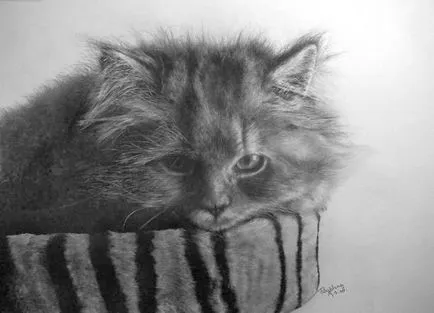 Prin lentila unui desene alb-negru animale (desene alb-negru de păsări) Prin lentilele unei desene alb-negru de animale
