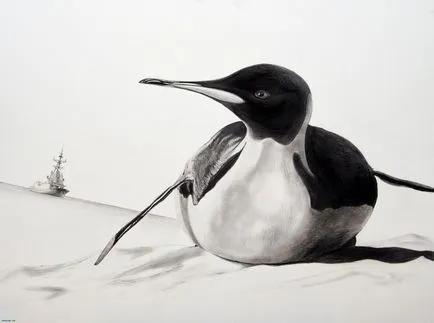 Prin lentila unui desene alb-negru animale (desene alb-negru de păsări) Prin lentilele unei desene alb-negru de animale