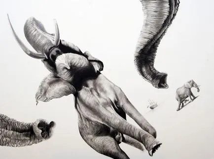 Prin lentila unui desene alb-negru animale (desene alb-negru de păsări) Prin lentilele unei desene alb-negru de animale