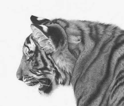 Prin lentila unui desene alb-negru animale (alb-negru) Prin lentilele unei desene alb-negru de animale