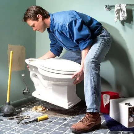 Cum de a decora toaletă - materiale, consiliere, video