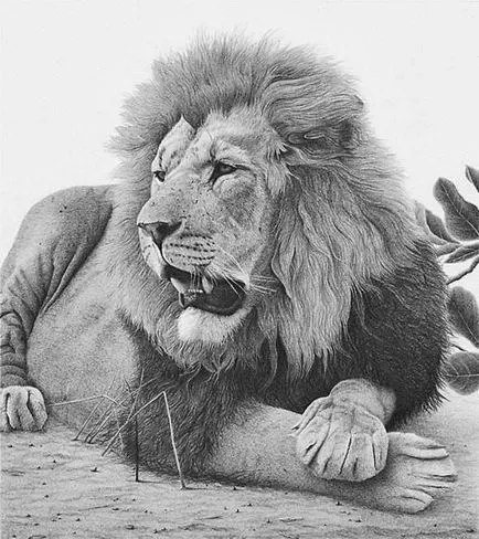 Prin lentila unui desene alb-negru de animale (animale de companie) Prin lentilele unei desene alb-negru de animale
