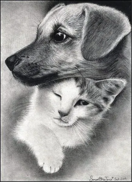 Prin lentila unui desene alb-negru de animale (animale de companie) Prin lentilele unei desene alb-negru de animale