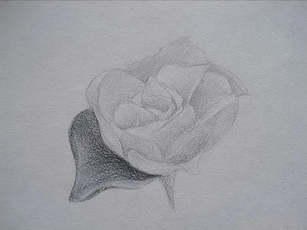 Prin prisma cum să atragă un creion trandafir (remiză) Prin obiectivul ca un creion pentru a desena un trandafir