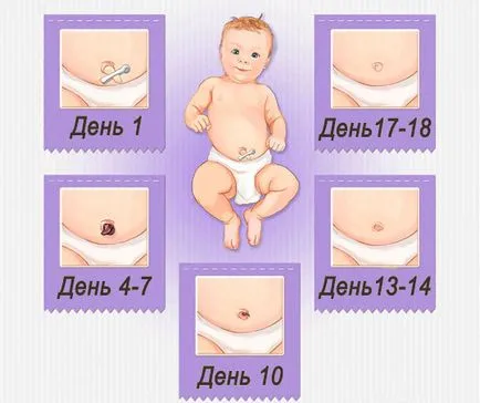 Ce se întâmplă dacă rana este curge lichid transparent